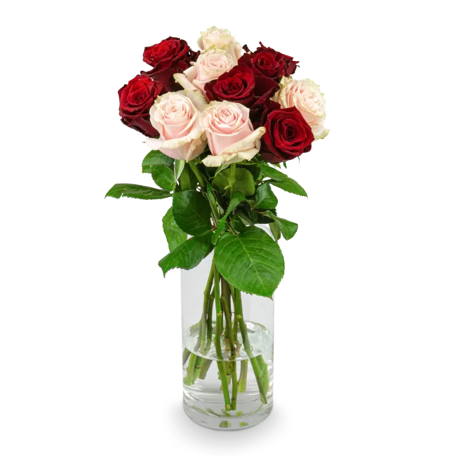 Bouquet of pink and red roses
